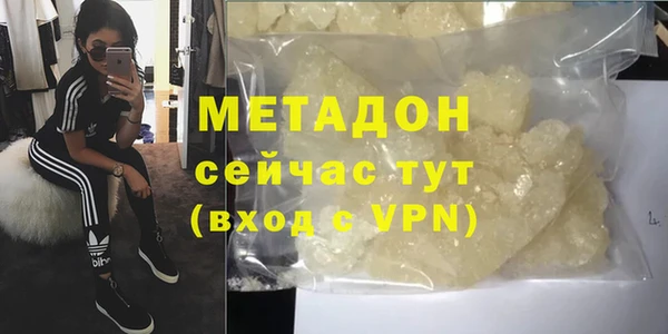 прущие грибы Заволжье