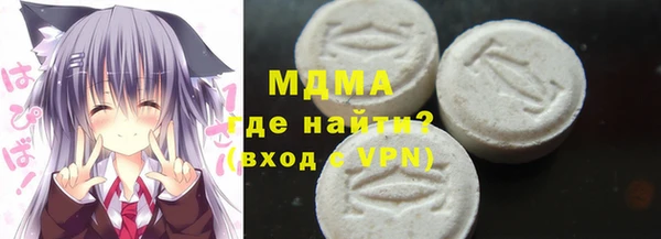 индика Елабуга