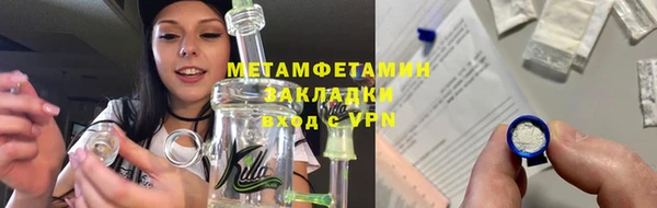 прущие грибы Заволжье