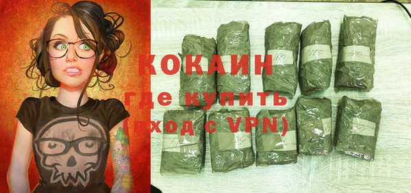 прущие грибы Заволжье