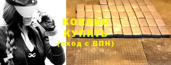 прущие грибы Заволжье