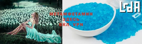прущие грибы Заволжье