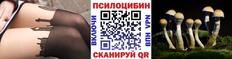 сколько стоит  Саянск  Псилоцибиновые грибы Magic Shrooms 