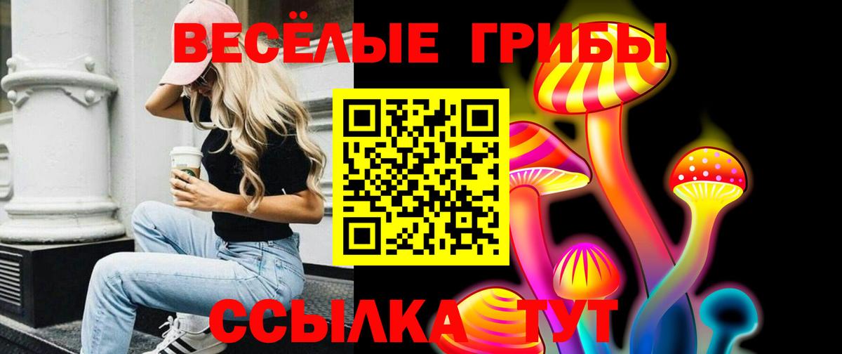Галлюциногенные грибы мицелий  Вход с VPN  Саянск 
