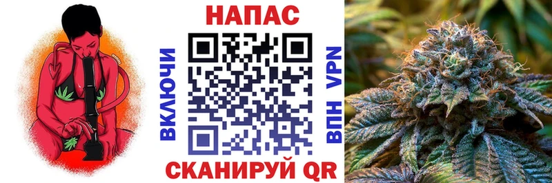 Бошки Шишки планчик Саянск
